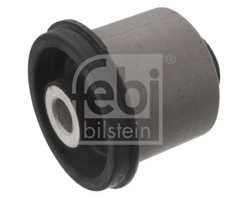 Mounting, control/trailing arm